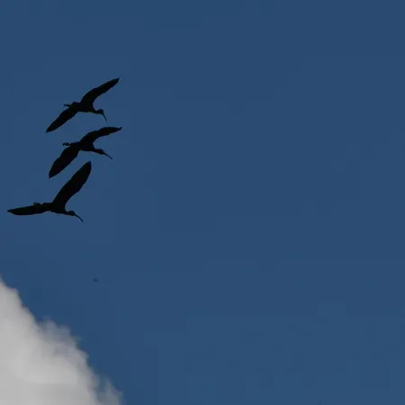 D'hote L'oiseau Blanc Saint-Nizier-le-Desert