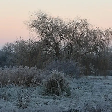 D'hote L'oiseau Blanc