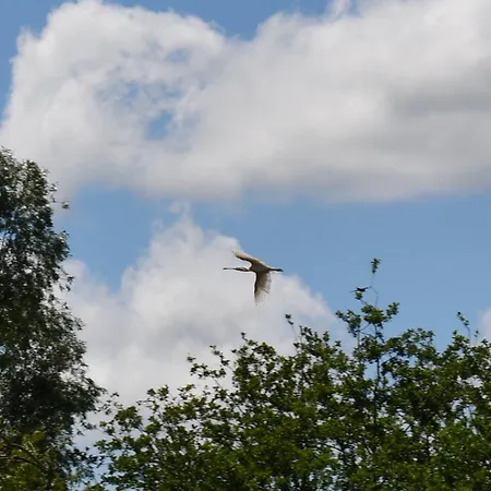 Oda ve Kahvaltı D'hote L'oiseau Blanc Saint-Nizier-le-Desert