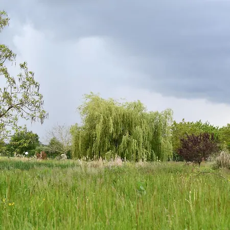 L'oiseau Blanc Bed and breakfast Saint-Nizier-le-Desert