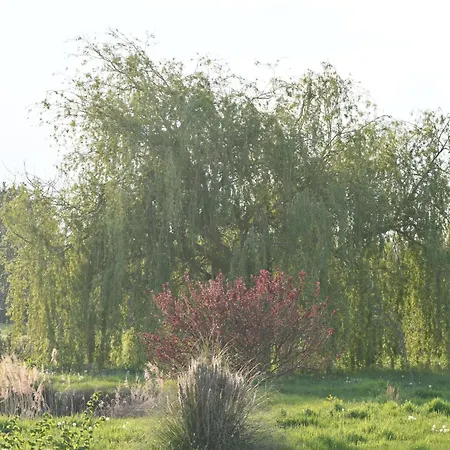D'hote L'oiseau Blanc Oda ve Kahvaltı
