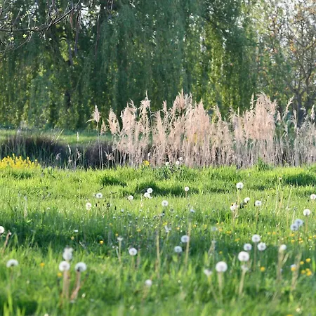 Bed and breakfast D'hote L'oiseau Blanc