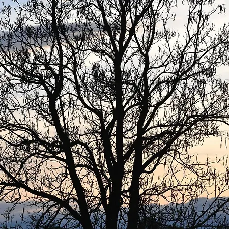 Bed and breakfast L'oiseau Blanc *